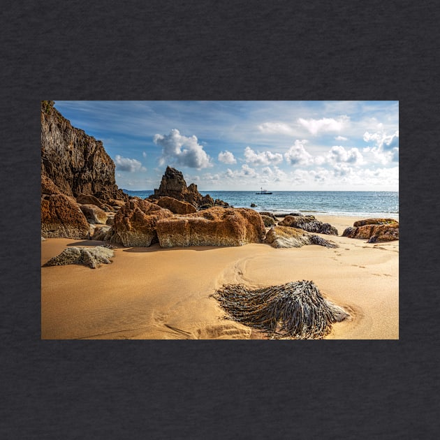 Barafundle Bay Beach Rocks, Pembrokeshire, Wales by tommysphotos